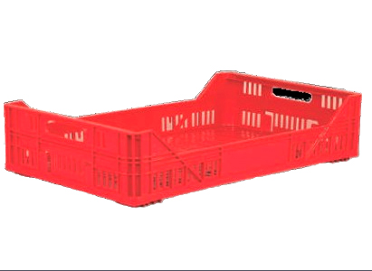 erasebg-transformed-(24)-77400